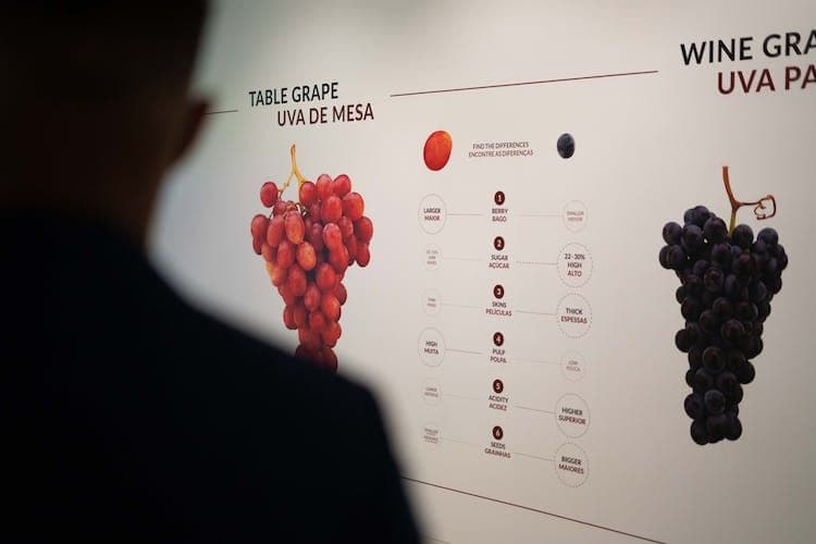 The Wine Experience WOW Porto tickets and tasting