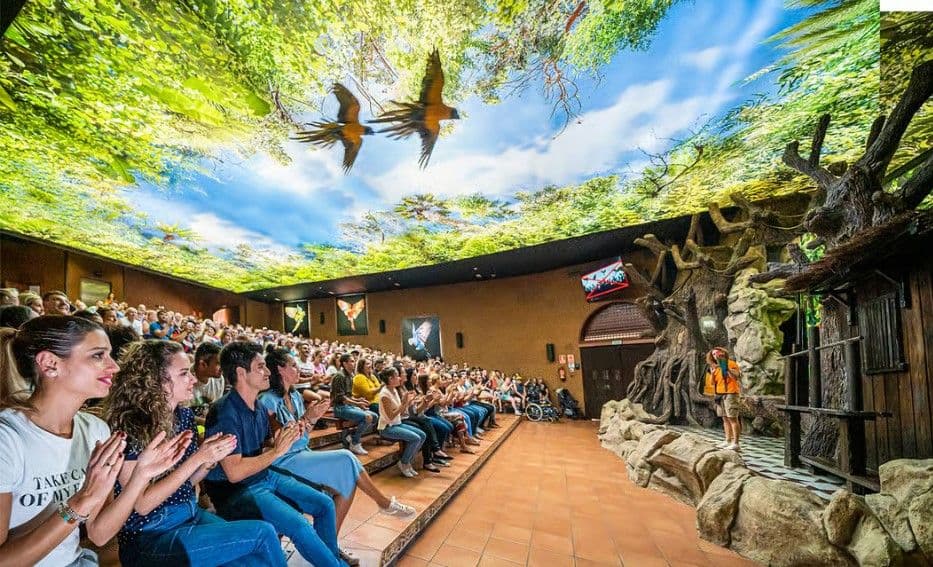 Tenerife: Loro Parque Entry Ticket