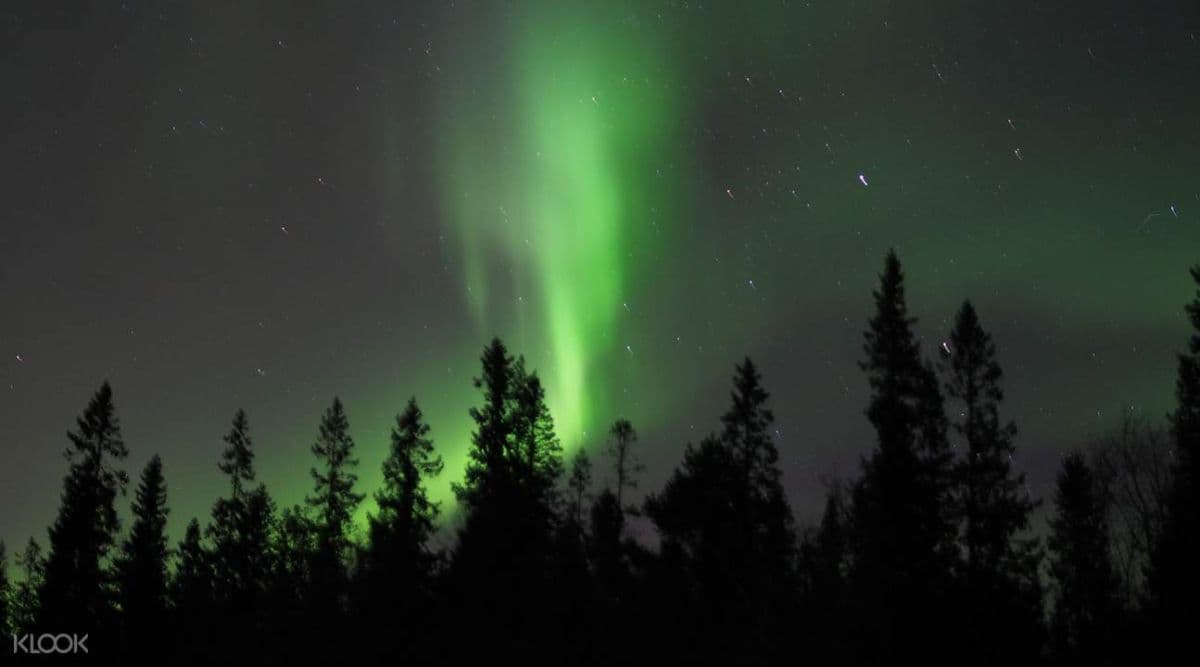 Northern Lights Snowshoe Experience in Lulea
