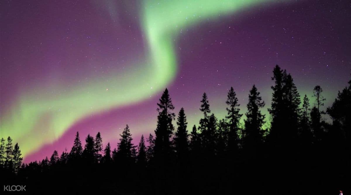 Northern Lights Tour in Lulea