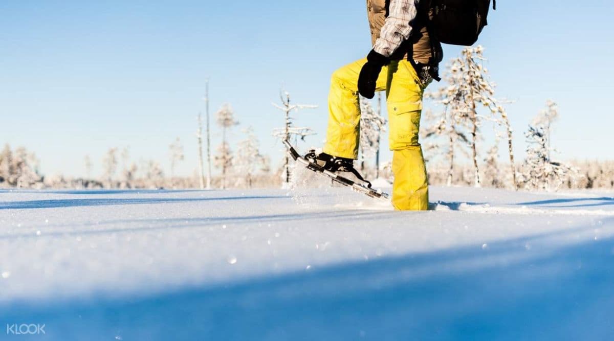 Snowshoeing Experience in Lulea