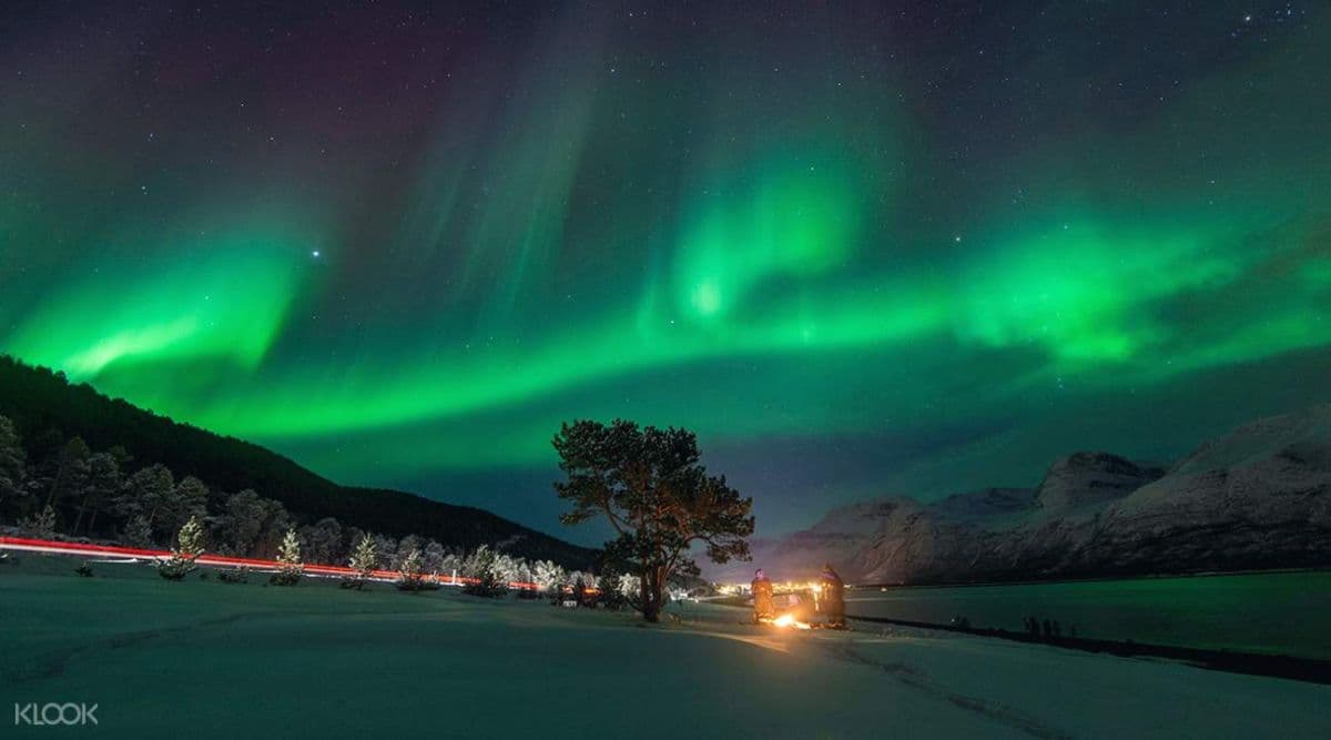 Northern Lights Minibus Chase Tour from Others
