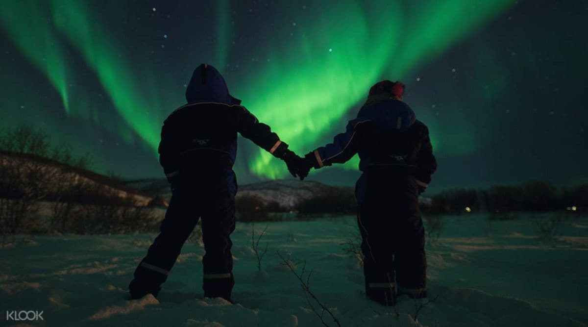 Northern Lights Minibus Chase Tour from Others