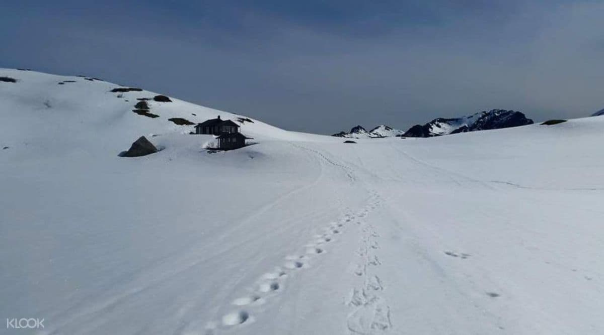 Others Day Snowshoeing Experience