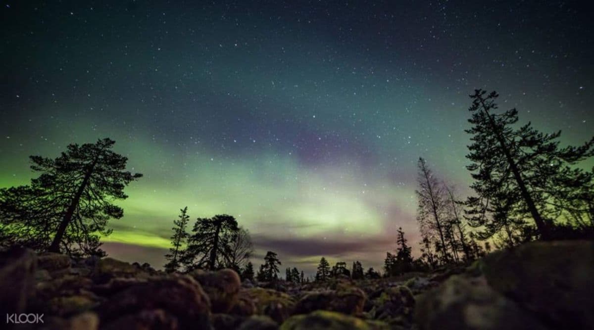 Others Night Snowshoeing