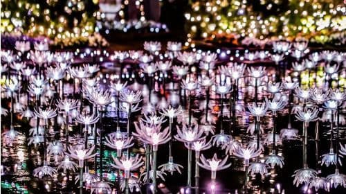 Ashikaga Flower Park Light Show