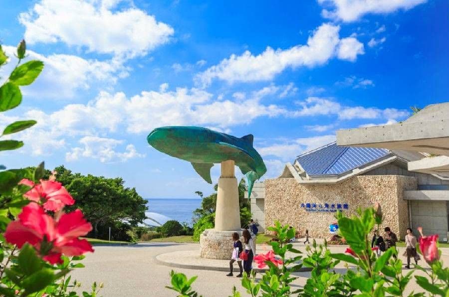 Churaumi TokuToku Pass