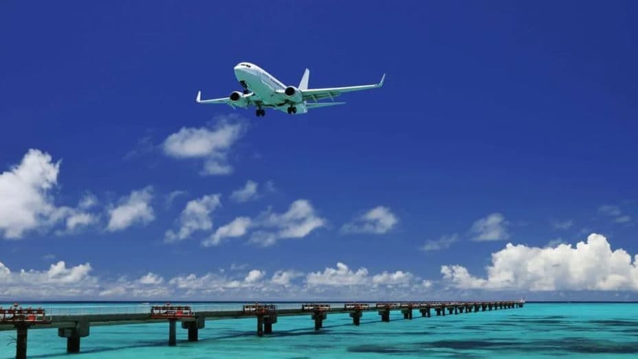 Classic Day Tour in Northern Okinawa