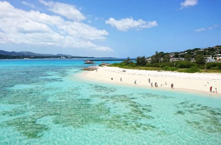 Classic Day Tour in Northern Okinawa