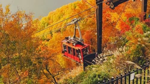 Free Cable Car|Tokyo Mount Fuji Lake Kawaguchiko Panoramic cable car + Internet-famous Lawson + Oshino hakkai 1-day tour