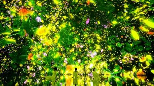 TeamLab Planets TOKYO