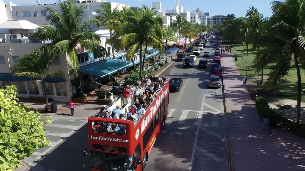 City Half Day Tour of Miami by Bus with Sightseeing Cruise Day Tours