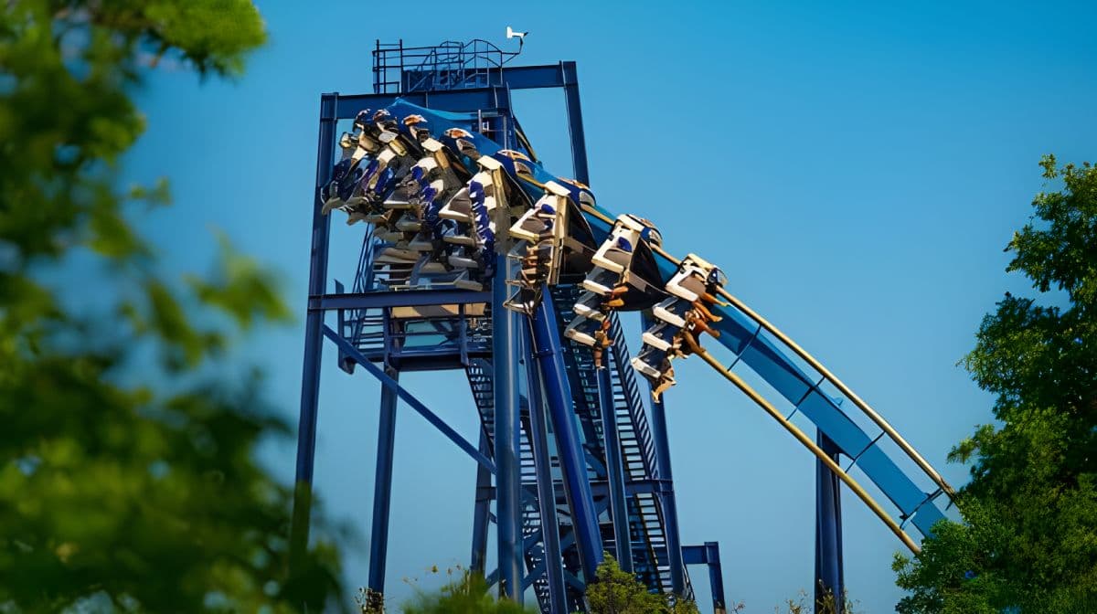 San Antonio: SeaWorld Skip-the-Line Park Admission Ticket Day Tours