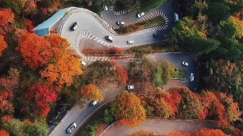 Japan Tokyo Toshogu Shrine + Irohazaka Winding Road + Lake Chūzenji + Kegon Waterfalls 1-day tour Day Tours