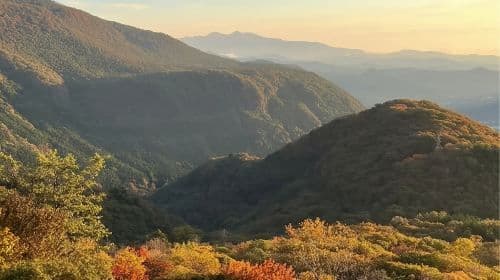 Japan Tokyo Toshogu Shrine + Irohazaka Winding Road + Lake Chūzenji + Kegon Waterfalls 1-day tour Day Tours