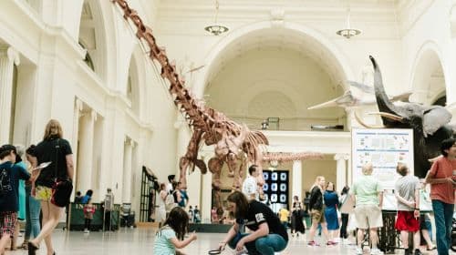The Field Museum of Natural History: Guided Tour + Early Access + Exhibition