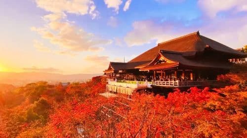 Kyoto & Nara Classic Day Tour with Friendly Deer