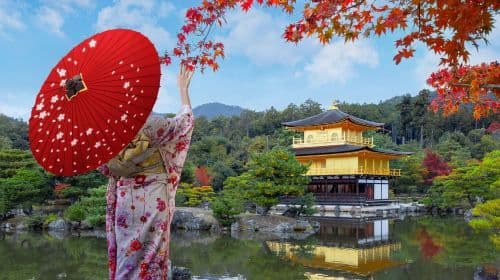 Kyoto Autumn Foliage Special: Minoh Falls, Sagano Romantic Train, Arashiyama Bamboo Forest, Nonomiya Shrine, Togetsukyo Bridge & Kinkakuji Temple One Day Tour (From Osaka) Day Tours
