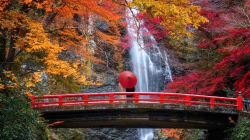 Kyoto Autumn Foliage Special: Minoh Falls, Sagano Romantic Train, Arashiyama Bamboo Forest, Nonomiya Shrine, Togetsukyo Bridge & Kinkakuji Temple One Day Tour (From Osaka) Day Tours