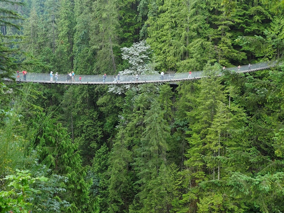 Capilano Suspension Bridge Park Tickets