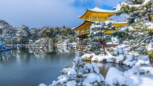 Kyoto one-day tour| Nijo Castle + Kinkakuji Temple + Fushimi Inari + Arashiyama Togetsukyo Bridge + Kimono Forest Day Tours