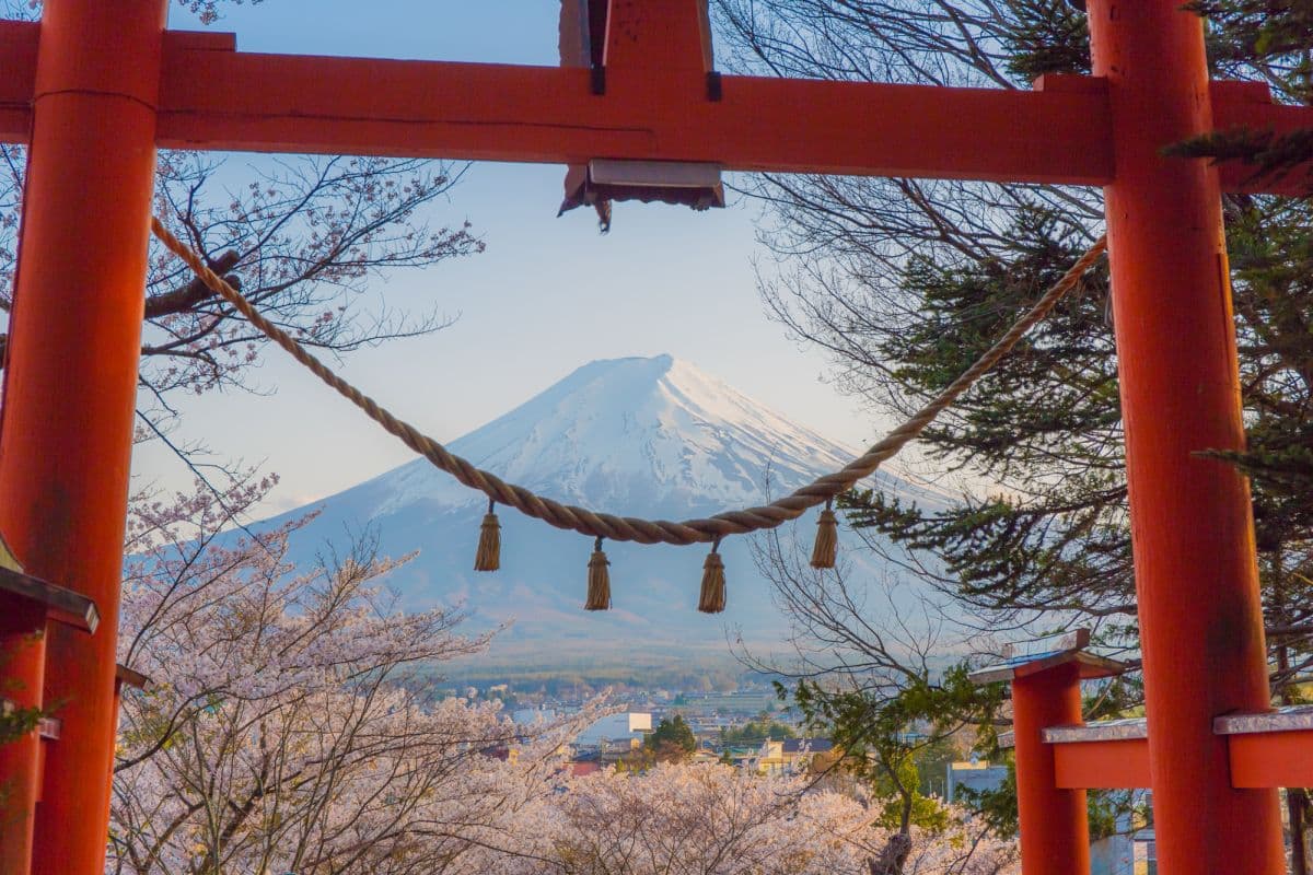 Mount Fuji Day Tour: Tour G