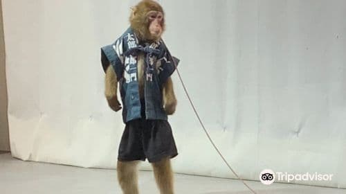 OSARU Land & Animal Town Nikko Saru Gundan