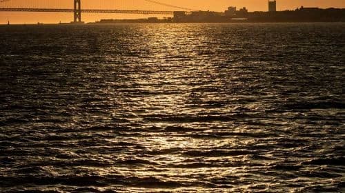 The Kobe Cruise Concerto