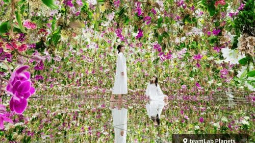 Tokyo City Pass (3-day)|3-Day Subway Ticket & Landmark Ticket & merchandise Attractions Pass