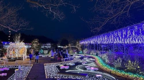 Tokyo: Ashikaga Flower Park with Entry Ticket
