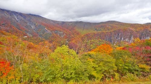 Toshogu Kegon Falls Lake Chuzenji one-day tour