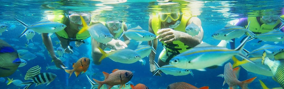 Adventure Cove Waterpark™