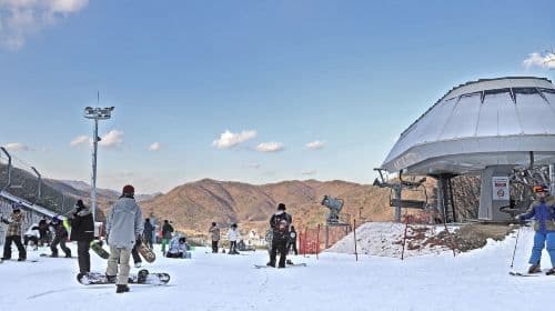  Jisan Forest Winter Ski Day Tour (From Seoul, Ski Snowboard, with Clothes & Basic Lesson) Day Tours