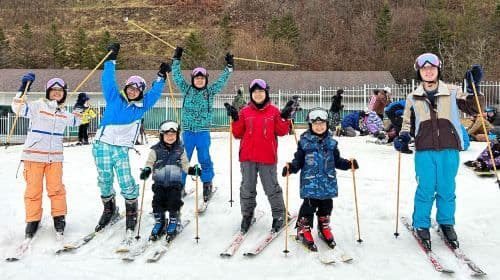 1-day tour from Seoul to Nami Island + Gangchon Ski Resort (Elysian Ski Resort) Day Tours