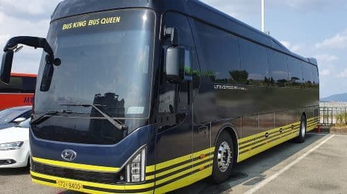 Alpaca World Roundtrip Shuttle Bus One Day Tour (Hongdae/Dongdaemun/Myeongdong pick up and drop off) Day Tours