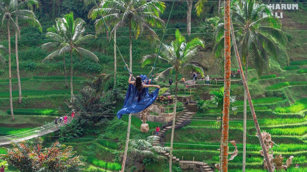 Alas Harum Rides & Attraction Packages