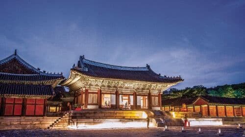 Seoul Night Tour: Changgyeonggung Palace, Gwangjang Market, and Naksan Park Day Tours