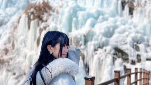 Winter Special | From Seoul: Eobi Valley + Nami Island + Morning Calm Arboretum Day Tours