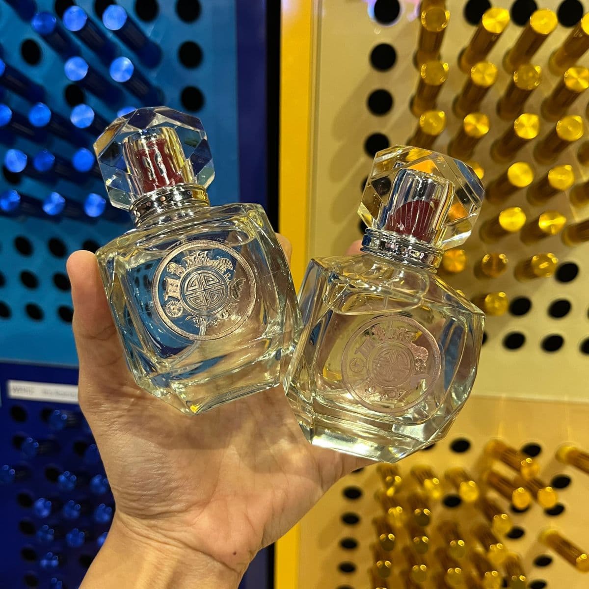 Scentopia - Perfume Making Family Bundles