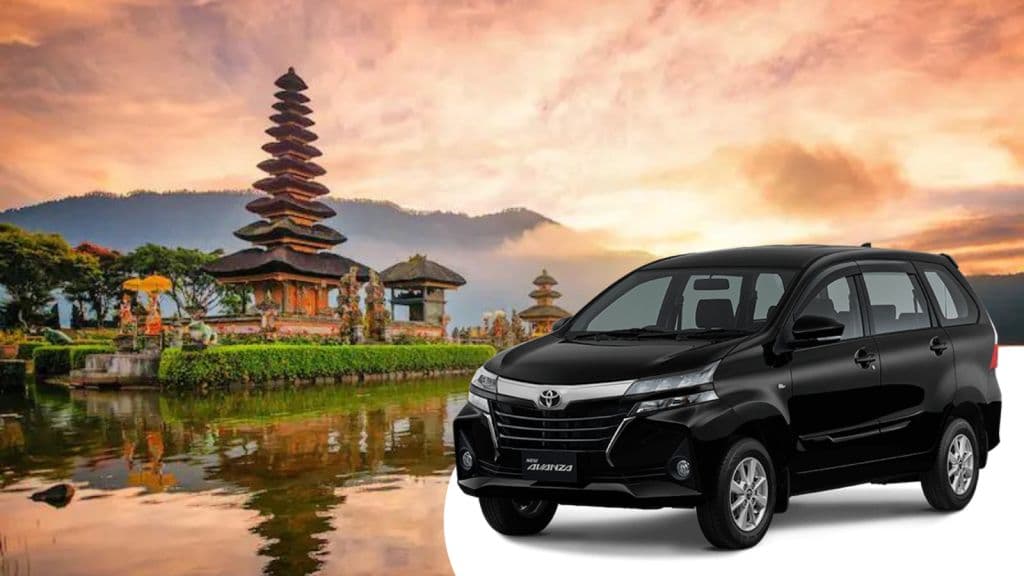 North Bali Custom Tour/Car (Bedugul Tour)