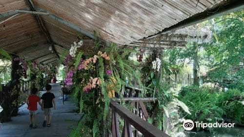 Tai Yi Ecological Leisure Farm