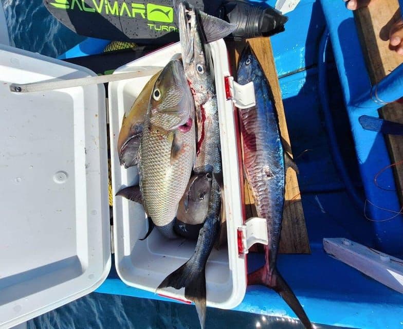 Sunrise Fishing trip from Gili island in Lombok