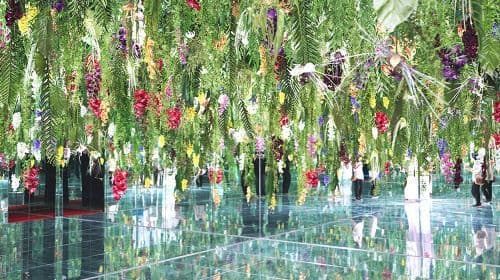 Gapyeong Begonia Bird Park + Nami Island Private Car Charter (Easy Tour Option) Day Tours