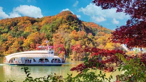 Gyeonggi-do, South Korea|Gapyeong Begonia Bird Garden X Nami Island Day Tours