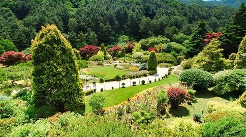 Gyeonggi-do, South Korea|Gapyeong Begonia Bird Garden X Nami Island Day Tours