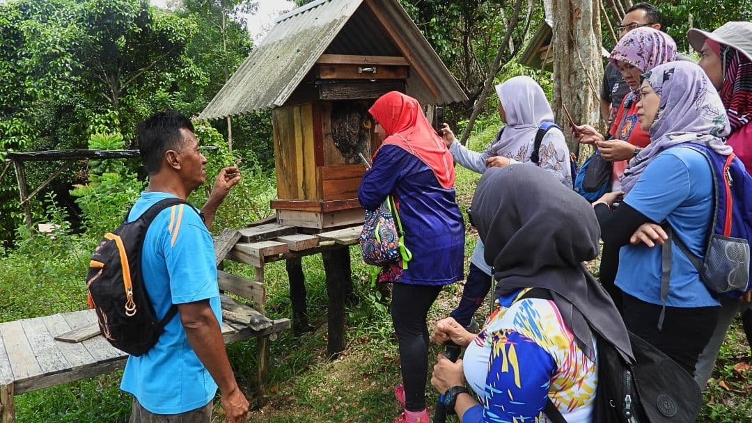 Belungkor Hill Hiking from Desaru , Johor