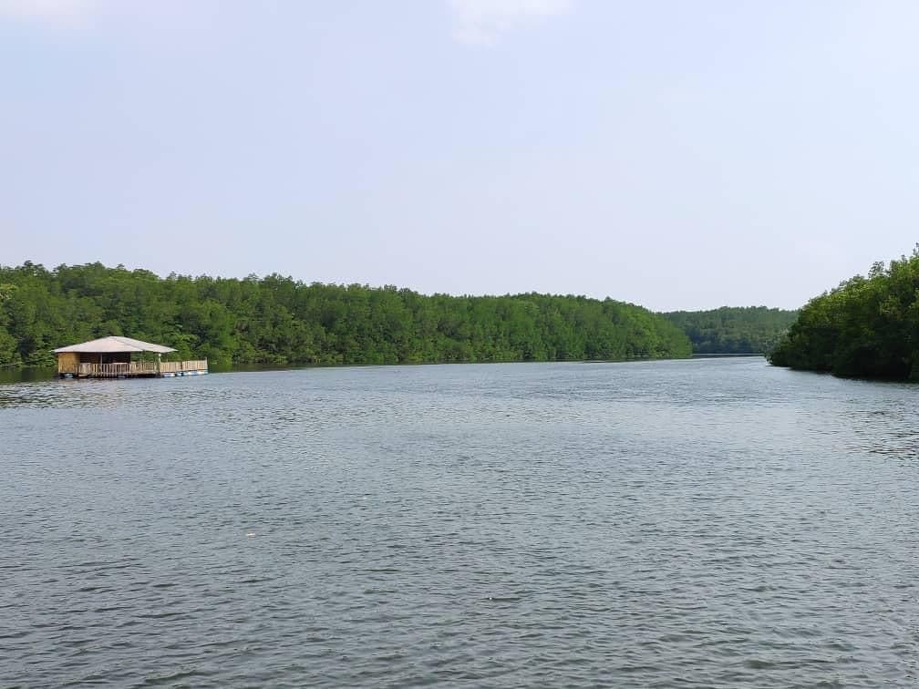 Lebam River Kayaking Adventure from Desaru , Johor