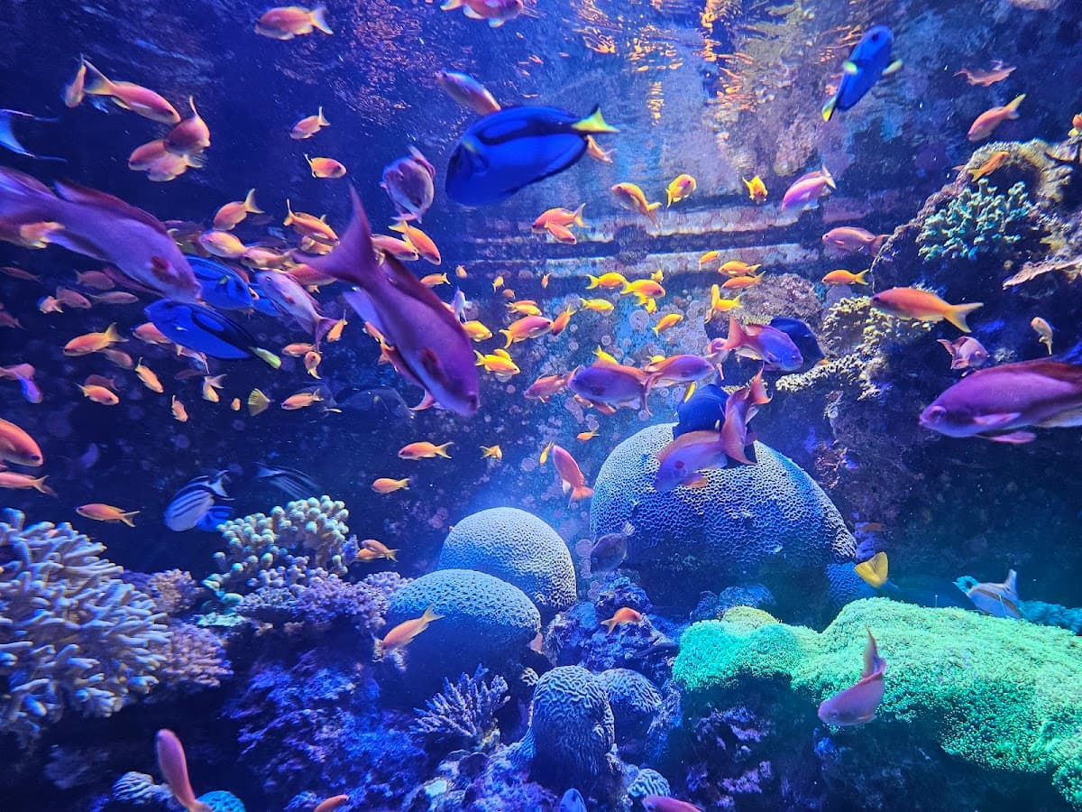 Singapore Oceanarium Education Programmes