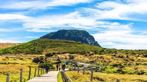 Jeju's first English Bus Tour Since 2008 for SouthWest & Hallasan Jeju Highlights