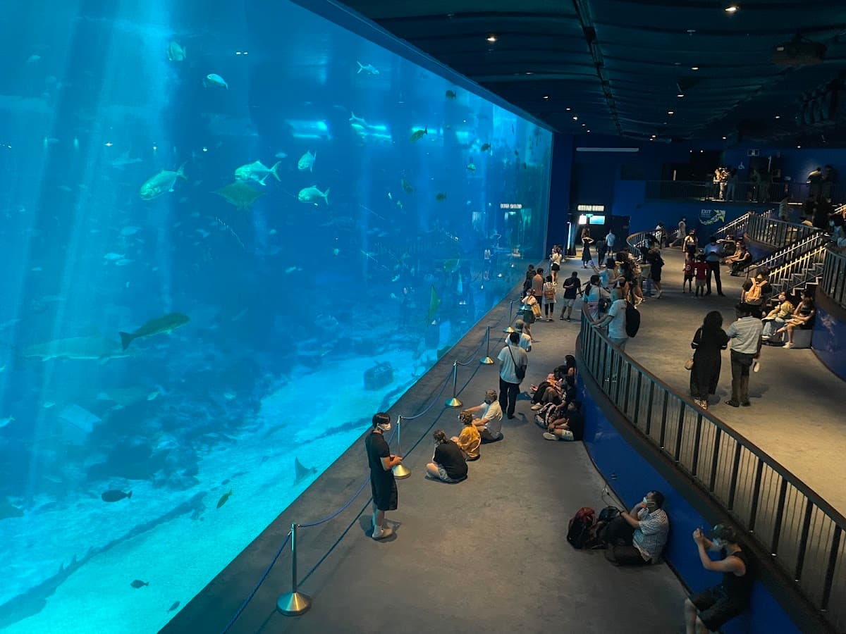 [Special] Singapore Oceanarium